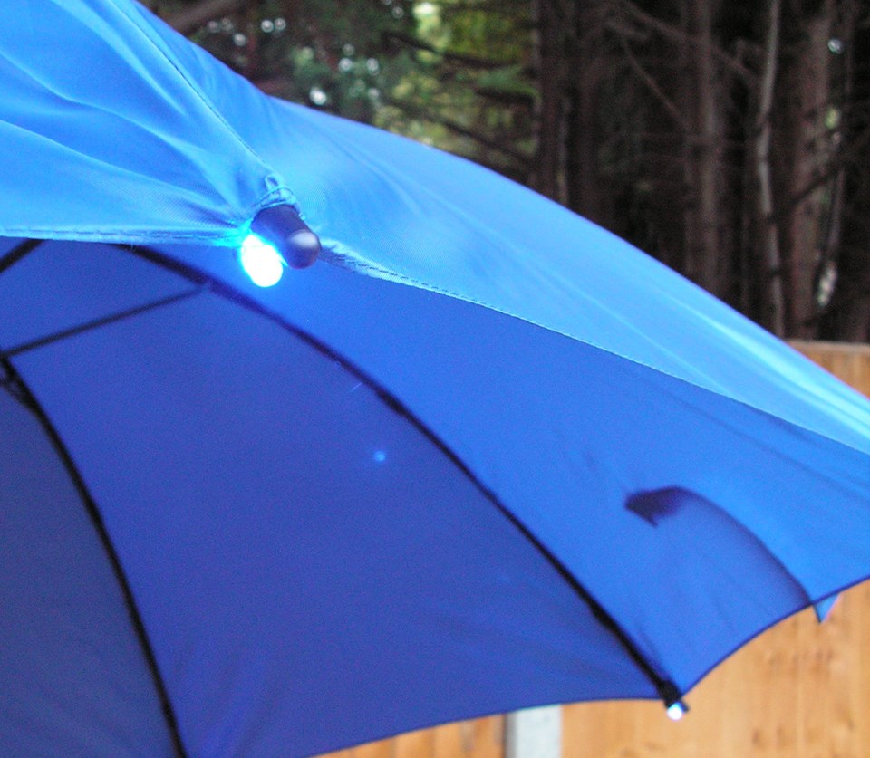 Umbrella